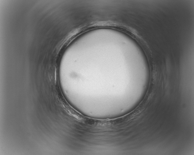 X0000076091221200610202057