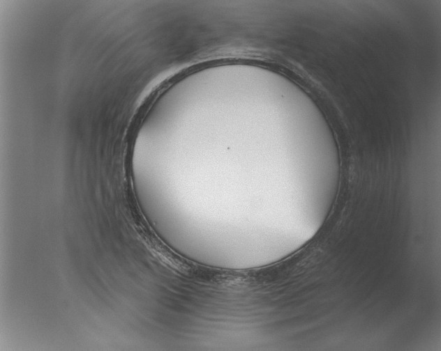 X0000076091222200610202057