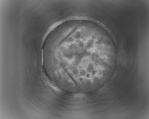 X0000076091223200610202057