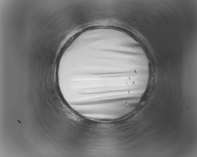 X0000076091224200610202057