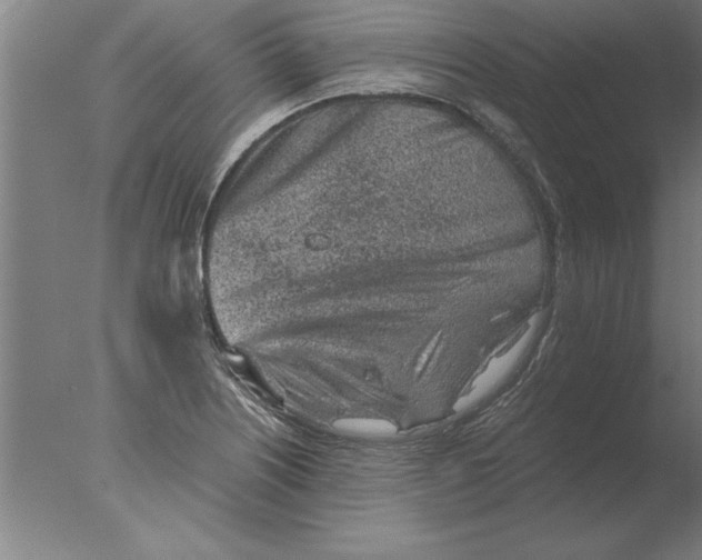 X0000076091226200610202057