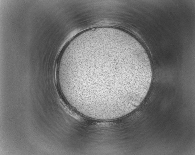 X0000076091227200610202058