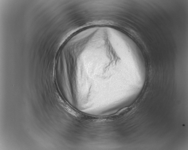 X0000076091228200610202058