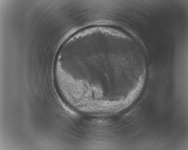 X0000076091229200610202058