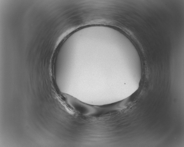 X0000076091230200610202058