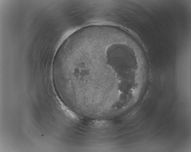 X0000076091231200610202058