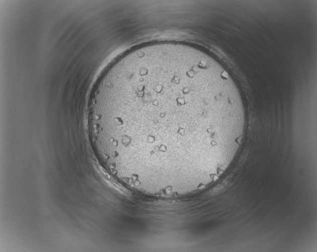 X0000076091232200610202058