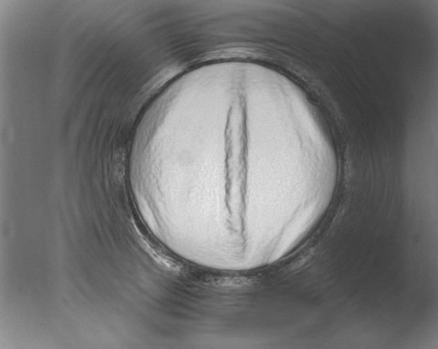 X0000076091233200610202058