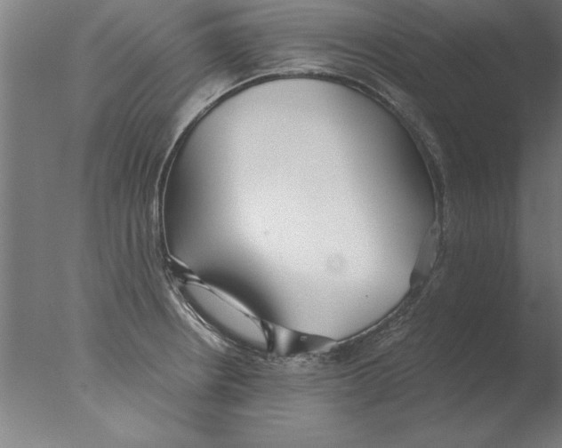 X0000076091234200610202058