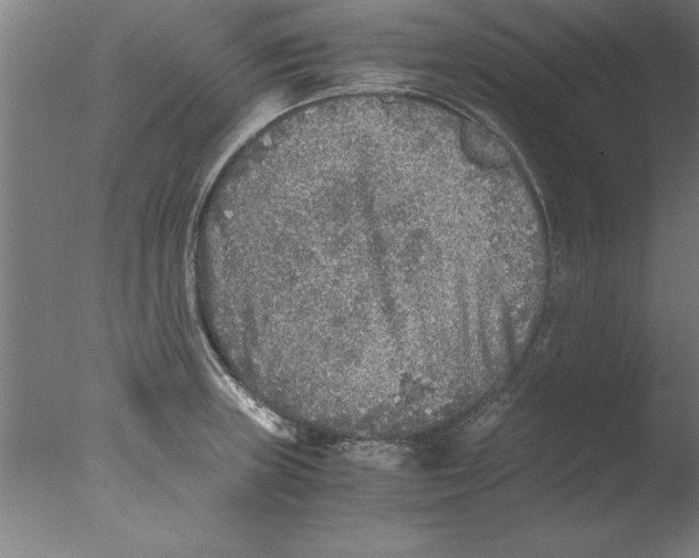 X0000076091235200610202058