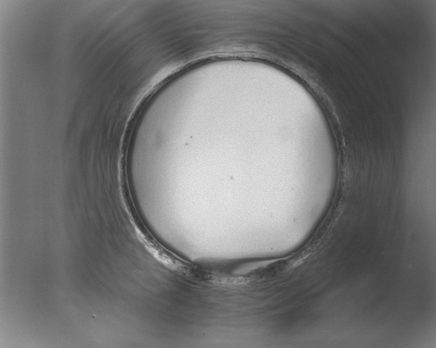 X0000076091237200610202058