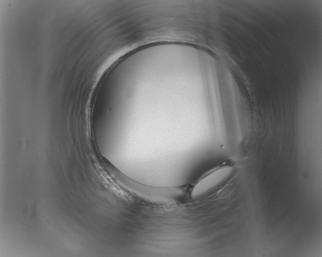 X0000076091238200610202058