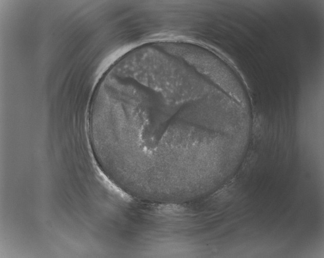 X0000076091239200610202058