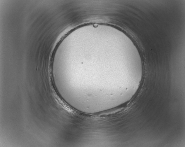 X0000076091240200610202058