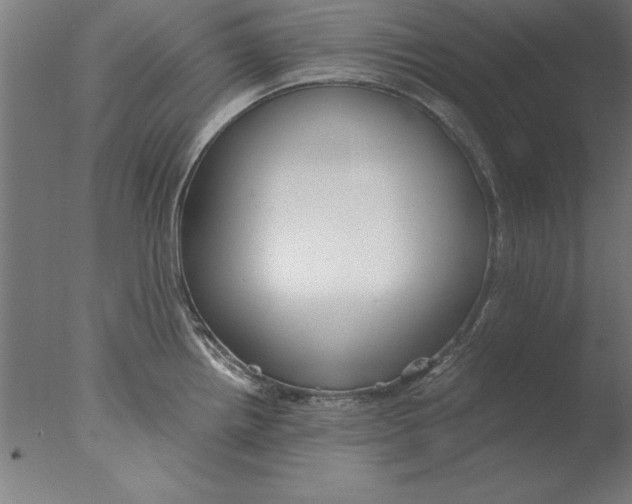 X0000076091242200610202058