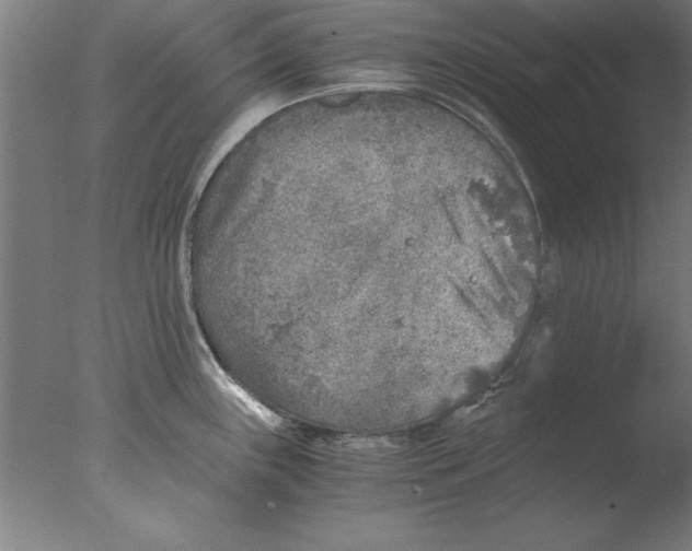 X0000076091243200610202058