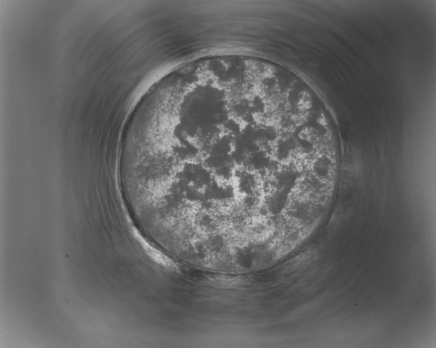 X0000076091245200610202058