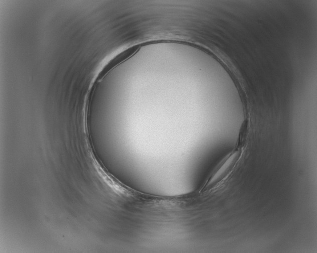 X0000076091246200610202058