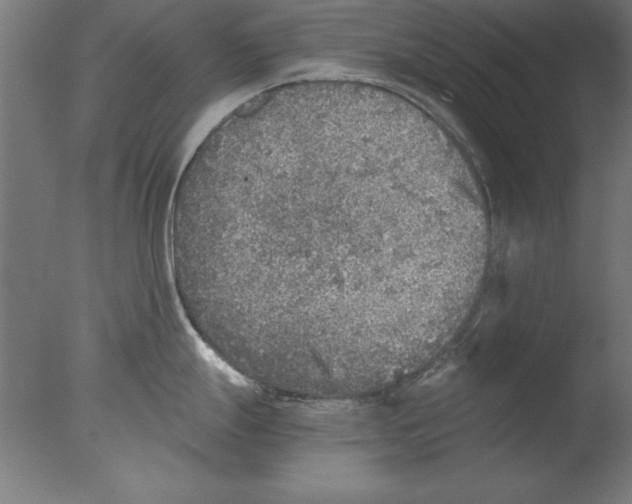 X0000076091247200610202058