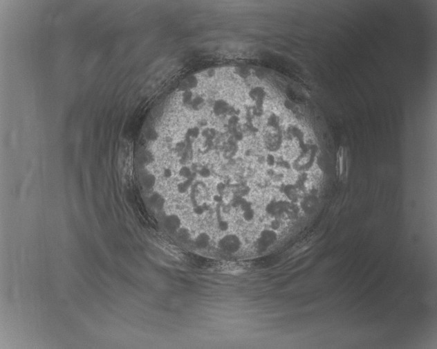 X0000076091251200610202057