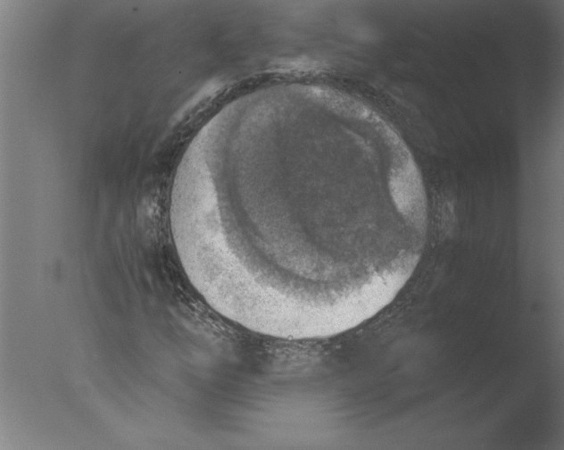 X0000076091254200610202057