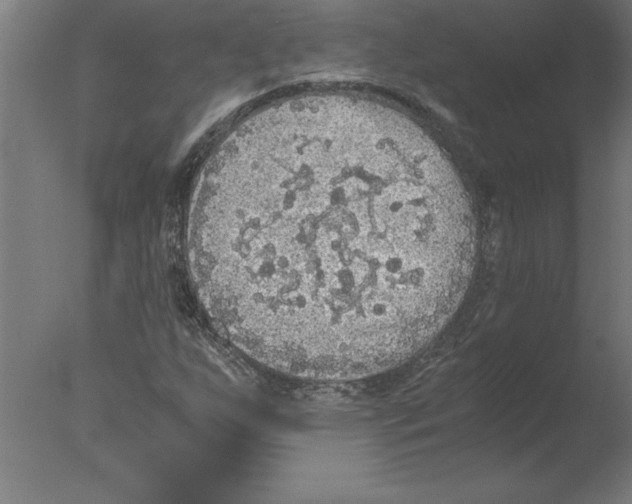 X0000076091255200610202057