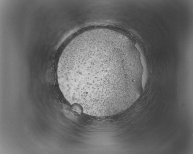 X0000076091256200610202057