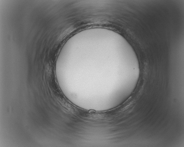 X0000076091257200610202057