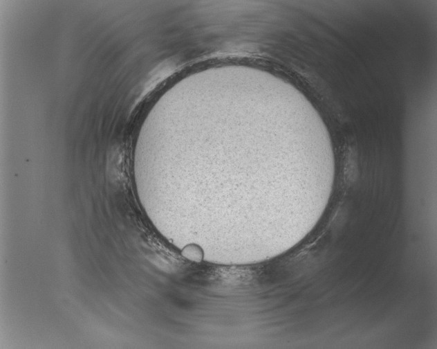 X0000076091258200610202057