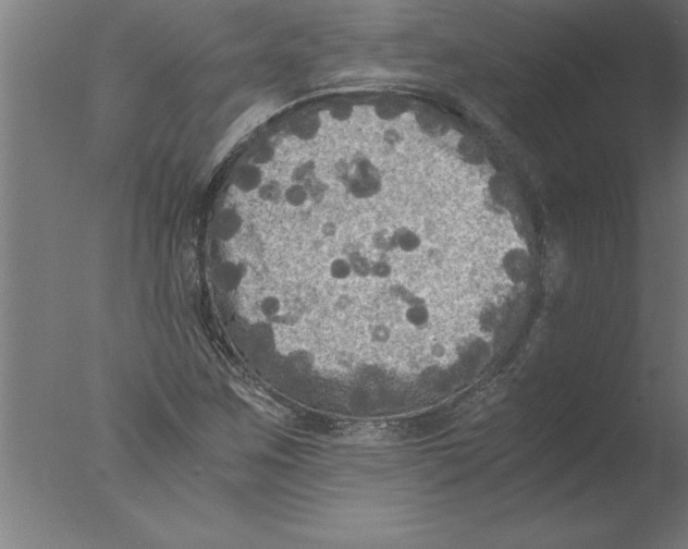 X0000076091259200610202057