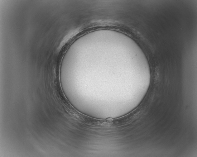 X0000076091261200610202057