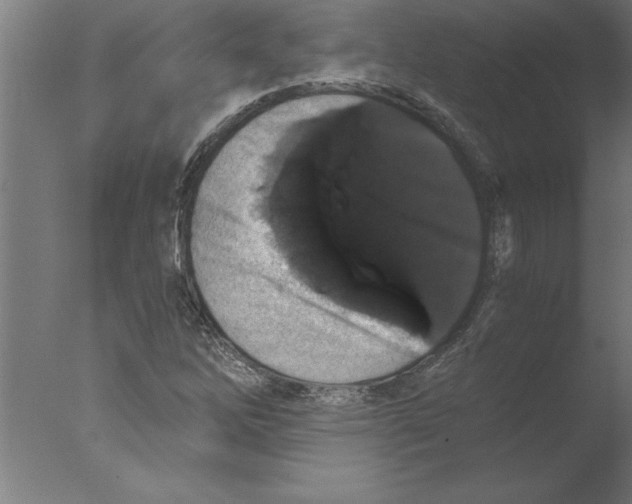 X0000076091262200610202057