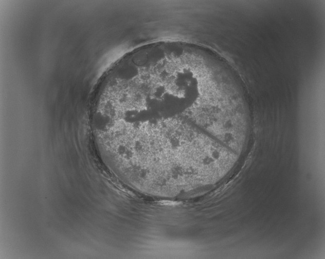 X0000076091263200610202057