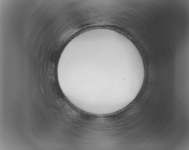 X0000076091265200610202057