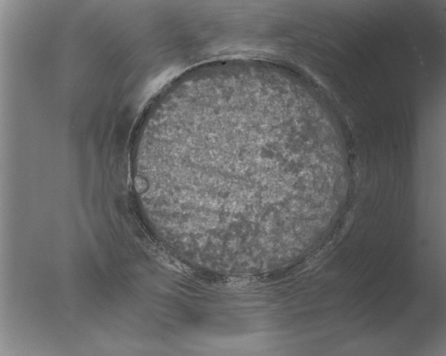 X0000076091267200610202057