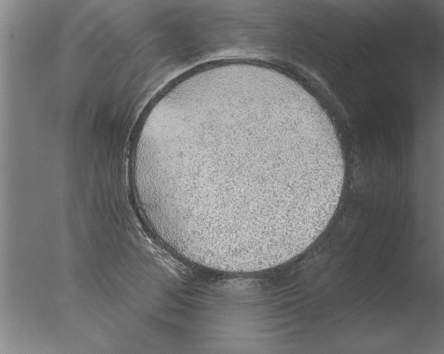 X0000076091268200610202057