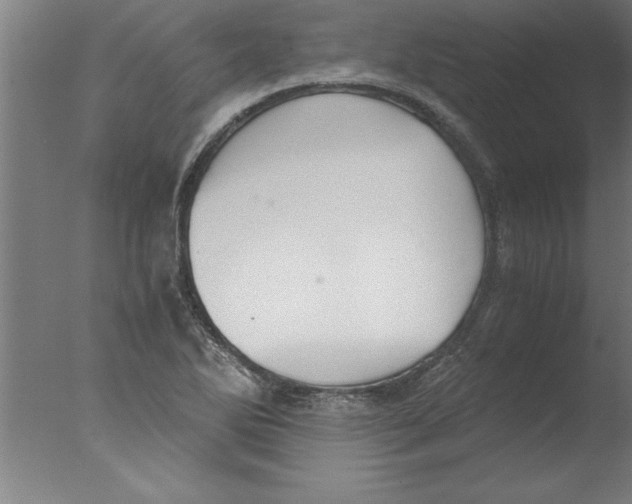 X0000076091270200610202057