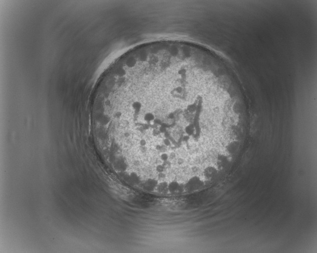 X0000076091271200610202057