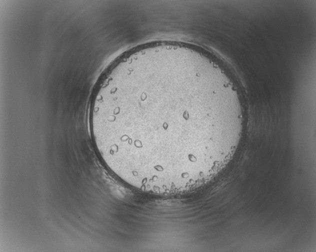 X0000076091272200610202057