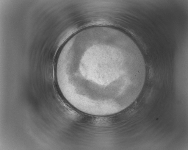 X0000076091274200610202057