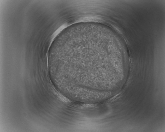 X0000076091275200610202057