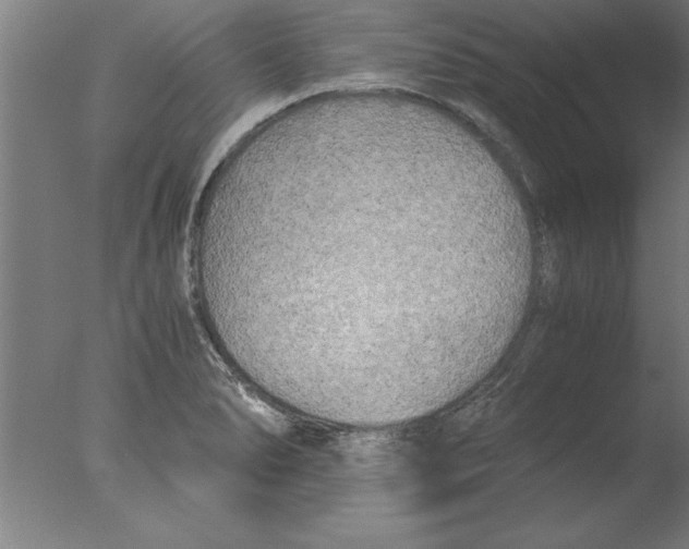 X0000076091278200610202057