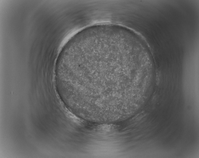 X0000076091279200610202057