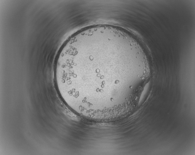 X0000076091280200610202057