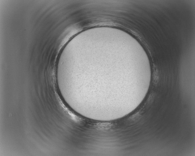 X0000076091282200610202056