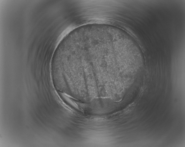 X0000076091283200610202056