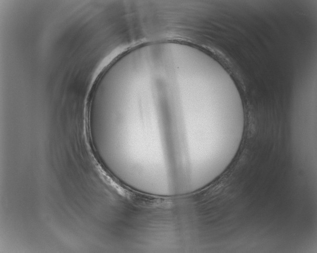 X0000076091286200610202056