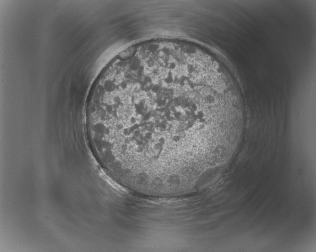 X0000076091287200610202056