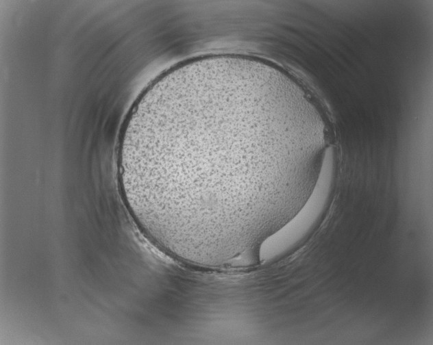 X0000076091288200610202056