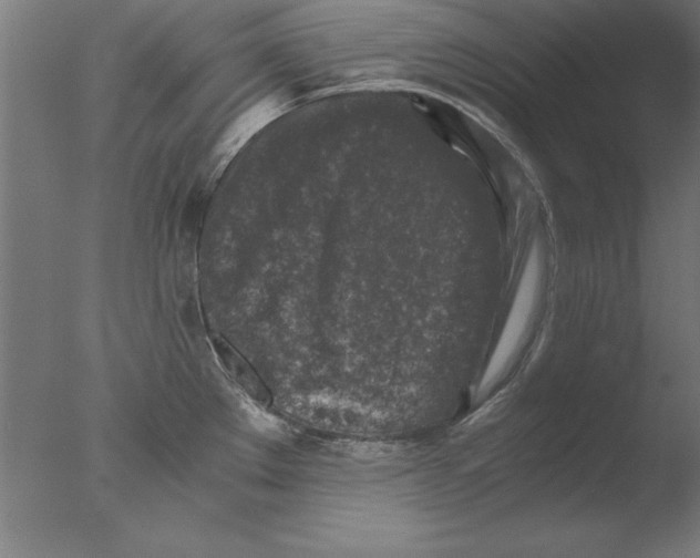 X0000076091289200610202056